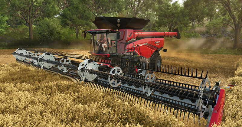 Vegetation und Ähren sind Beispiele für die verbesserte Grafik von Farming Simulator 25 (Bild: Giants Software)